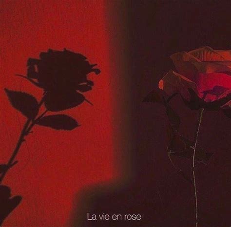 Roses Pinterest Alexglams Instagram Alexglams Red Aesthetic Grunge Aesthetic