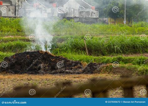 Pollution of Agricultural Products Can Come from Burning Agricultural ...