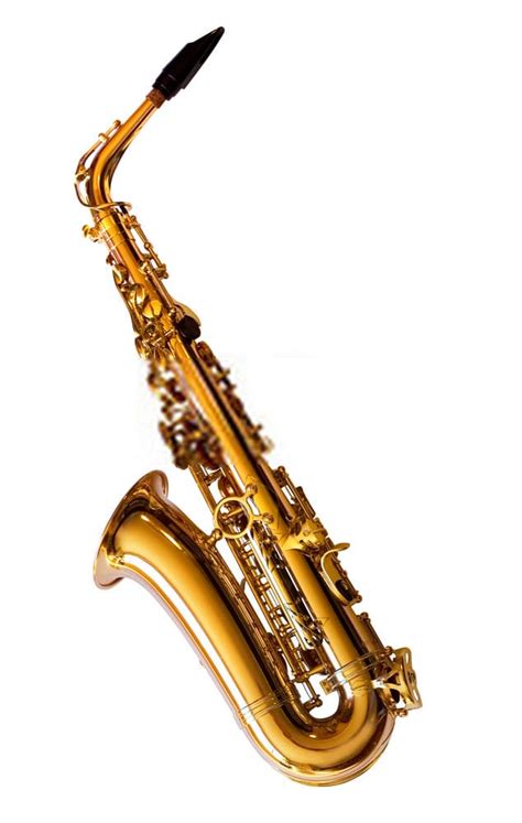 14 Types of Saxophones and Their Uses (With Pictures)