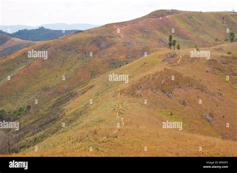 African Rainforest People Hi Res Stock Photography And Images Alamy
