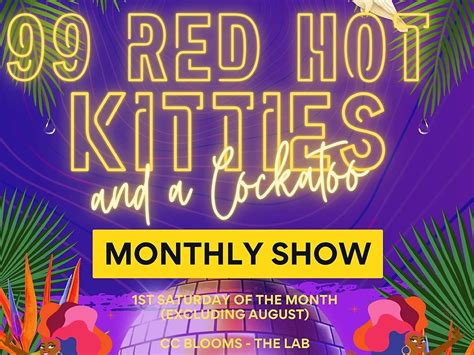Red Hot Kitties And A Cockatoo At Cc Blooms Edinburgh New Town What S On Edinburgh
