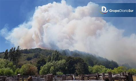 Conaf Llama A Prevenir Incendios Forestales En Fiestas Patrias Diario