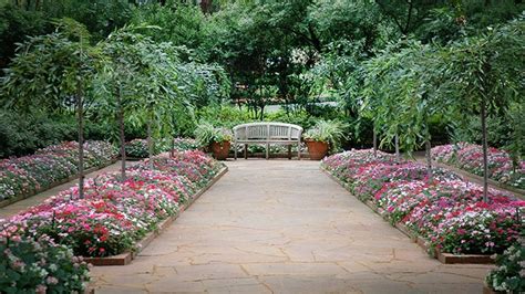 Nancys Garden Dallas Arboretum And Botanical Garden