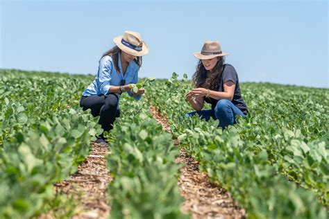 6 Congresso Nacional das Mulheres do Agronegócio Syngenta Digital