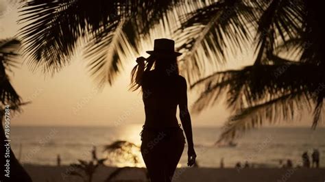 Woman Relaxes On Tropical Island Beach Pretty Woman In Bikini Admire View Under Palm Tree On