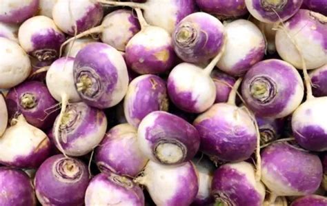 Turnips Vs Rutabagas: Which Is A Better Option? | Americas Restaurant