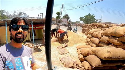 4 महीने की मेहनत और कौड़ियों के दाम। Bahraich Galla Mandi Vloggershut