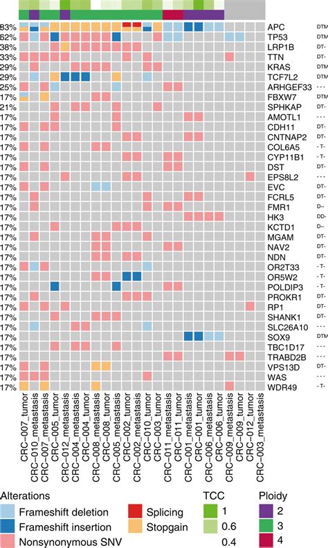 Recurrent Somatic Small Mutations On Protein Coding Genes Oncoprint