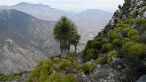 Parque Nacional los Mármoles Escapadas por México Desconocido