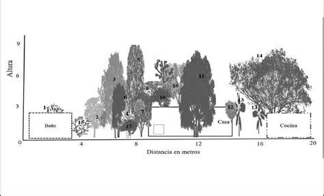 Riqueza Estructura Y Diversidad Flor Stica En Huertos Familiares Del