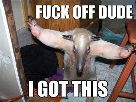 Fuck Off Dude I Got This I Got This Quickmeme