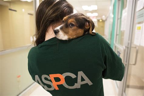 April Is Prevention of Cruelty to Animals Month! | ASPCA