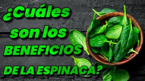 Descubre Los Increíbles Beneficios De La Espinaca Para Tu Salud Youtube