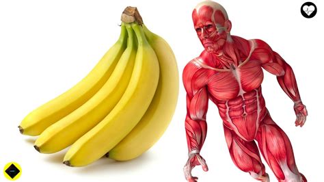 What Will Happen If You Eat 2 Bananas A Day Why You Should Eat Them