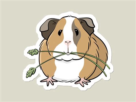 Guinea Pig Vinyl Sticker Cavy Lover Laptop Sticker Cute Animal