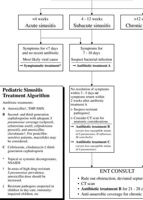 Algorithm For Selecting Antimicrobial Therapy For Acute Sinusitis In Download Scientific