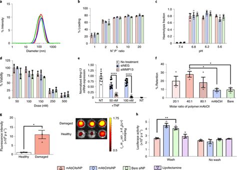 Characterization of in vitro chemico-physical, gene silencing and ... 