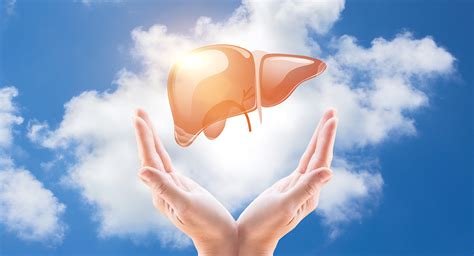 Improve Your Liver For Better Health Liver Doctor