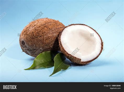 Coconuts Half Green Image And Photo Free Trial Bigstock