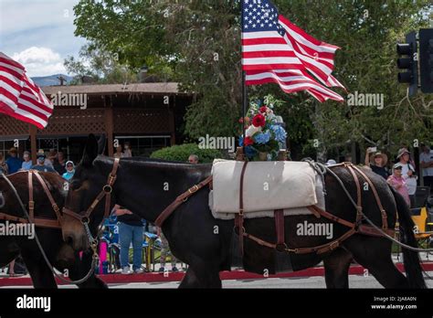 The Mule Days Parade is a staple of the Mule Days celebration in Bishop, Inyo County, CA, USA ...