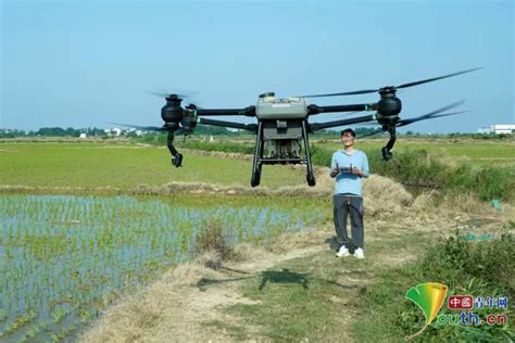 江南早稻长势喜人 抢抓农时加强管理地方新闻中国青年网