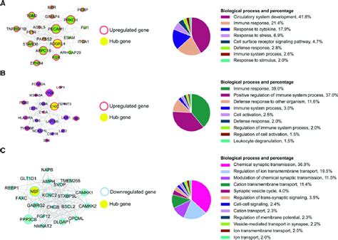 Top Hub Genes From The Coexpression Analyses Of Ftld Tdp A With And