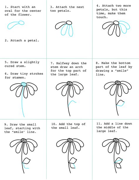 How To Draw A Daisy Daisy Flower Drawing Flower Sketches Flower Drawing