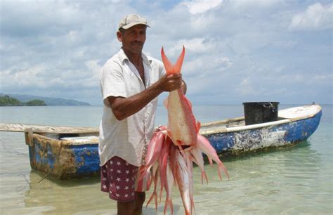 La Fao Pide Regular La Pesca Artesanal Para Garantizar La