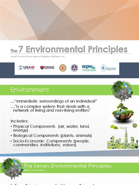 The 7 Environmental Principles Pdf Biodiversity Ecology