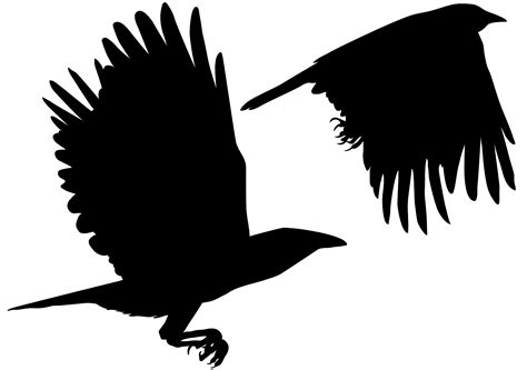 Crows Silhouette Free Vector Silhouettes