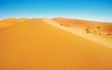 Wüstenlandschaft Dünen gelber Sand blauer Himmel Hintergrundbilder