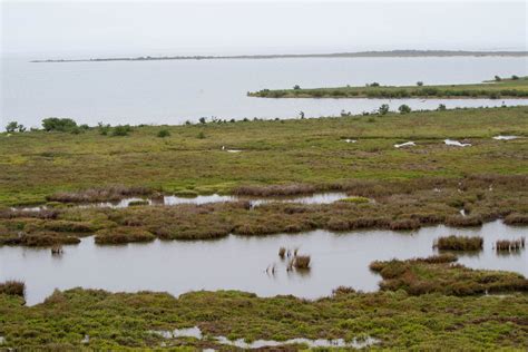 Aransas National Wildlife Refuge Port Aransas 1streetover Travel Blog