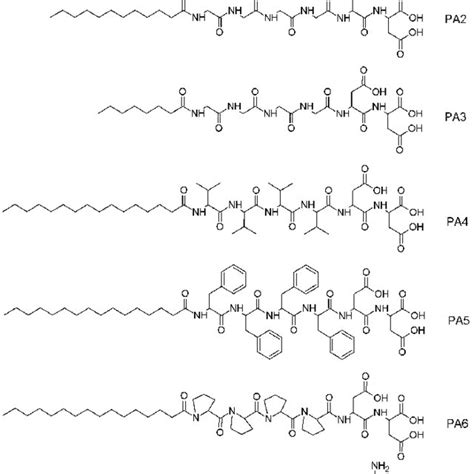 Structures Of Peptide Amphiphile 1 Pa1 To Peptide Amphiphile 7 Pa7 Download Scientific Diagram