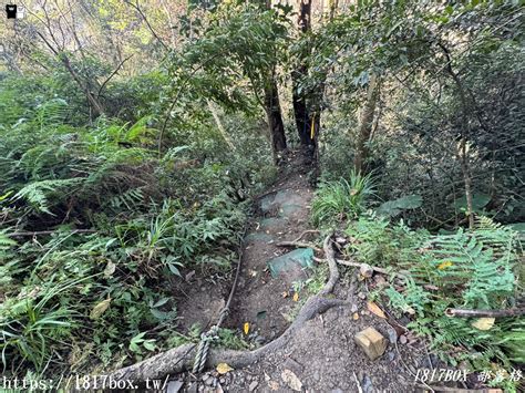 【行程規劃】苗栗泰安溫泉。鳥嘴山。水雲吊橋。虎山。享受自然芬多精 1817box部落格