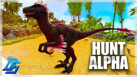 Hunting Alpha Raptor Saving Gear Ark Survival Evolved PvP No