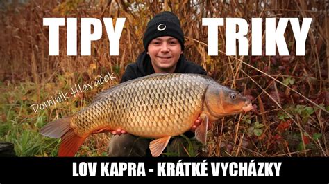 Lov Kapra Kr Tk Vych Zky Dominik Hlav Ek Tipy A Triky Ryb Sk