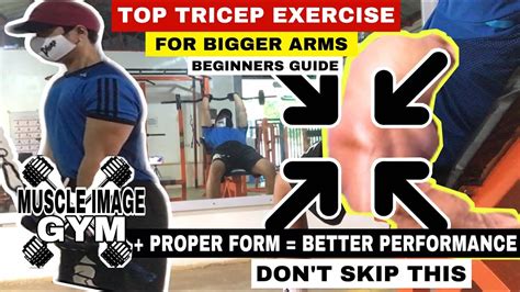 Top Tricep Exercise For Bigger Arms X Muscle Image Gym Vlog15tricepworkoutgymraid