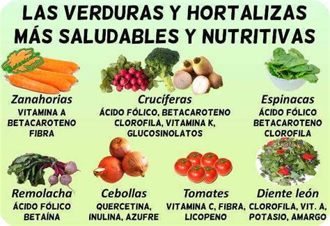 Cu Les Son Las Verduras M S Saludables Botanical Online