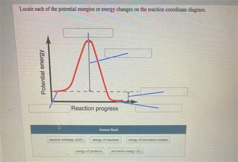 Solved Which Definition Best Describes The Term Activation