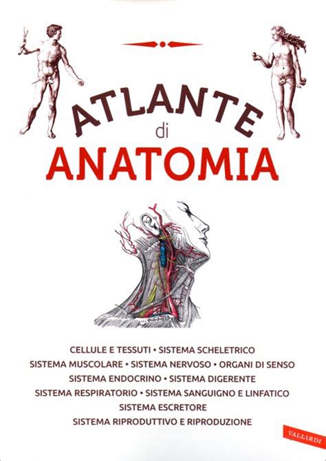 Atlante Di Anatomia Antonio Vallardi Edizioni Libro