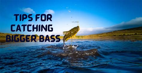 How To Catch Big Bass Fishing Tips For Largemouth Bass