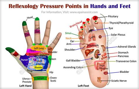 Reflexology Pressure Points In Hands And Feet Reflexology Pressure