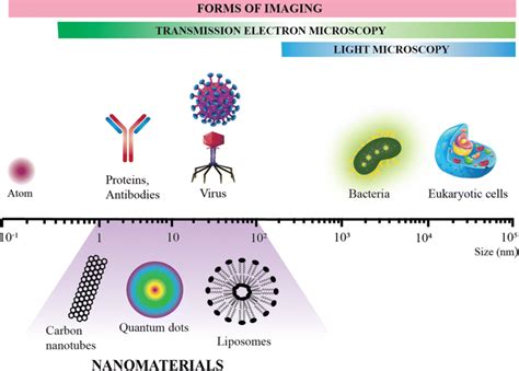 Relative Size Comparison Of Nanomaterials Microbiological And Other