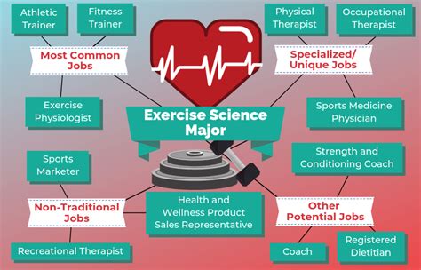 What Do Exercise Science Majors Do Online Degrees