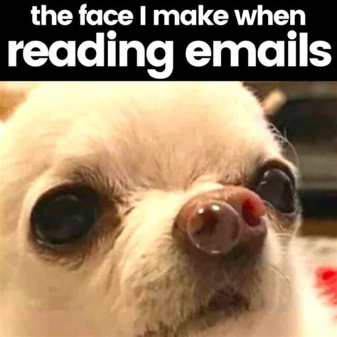 Inbox Laughs 40 Funny Email Memes To Lighten Your Work Day