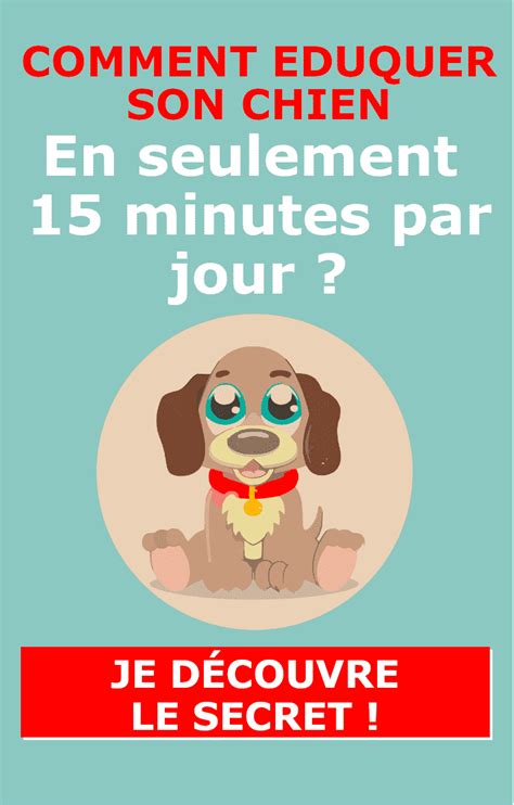 Comment Rendre Propre Un Chiot Comment Dresser Votre Chien