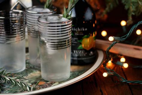 Rosemary Yuzu Gin Fizz Recipe - Food Fanatic