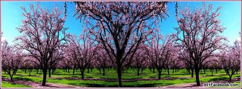 27 Best Spring Timeline Covers Images On Pinterest Timeline Covers