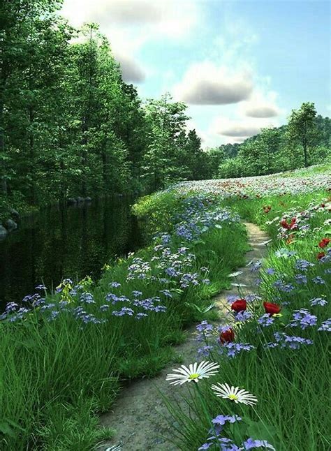 Mountain Brook With Wildflowers Amazing Nature Lovely Beautiful