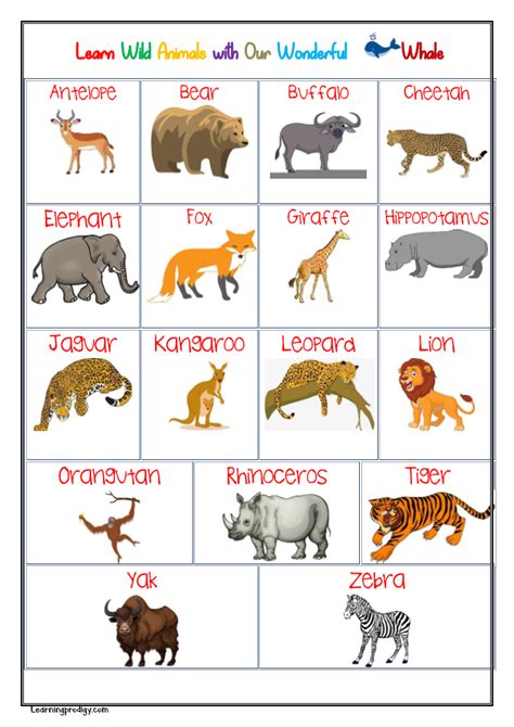 Animals Chart For Kindergarten